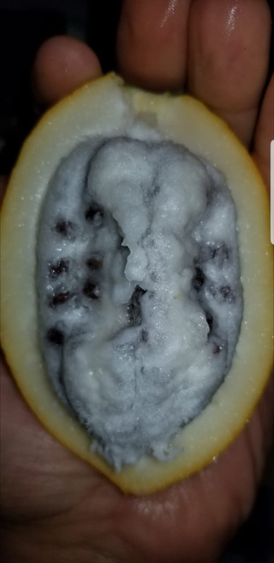 Screenshot_20250316-090653_WhatsApp