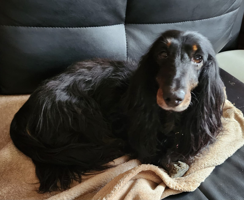 [Image: IMG-20240310-WA0008.jpg]