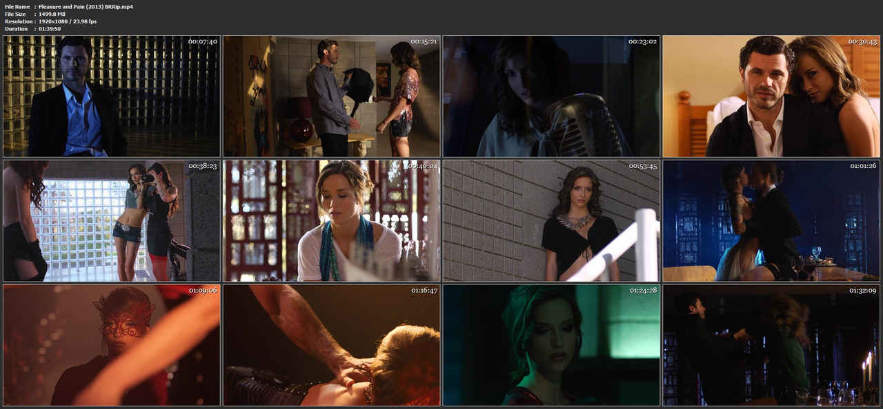 Pleasure and Pain (2013) BRRip.mp4