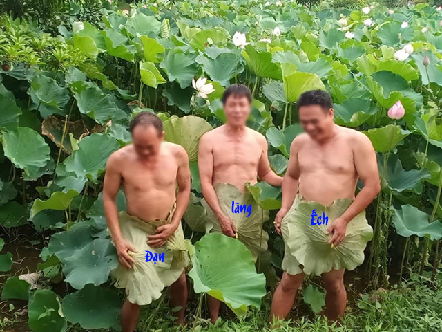 [Image: 3phaono.png]