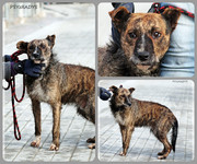 Be-Funky-collage-26.jpg&key=ec6c5e7ee973