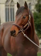 110725105_4091022037637507_8666223096151151338_n