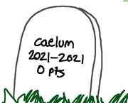 Screen-Shot-2021-07-13-at-1-22-57-pm