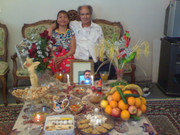 volghanhosseini (1023)