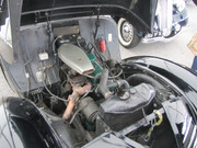 IMG-7546.jpg