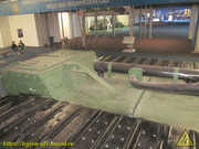 IMG-6984