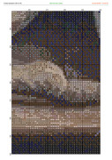 2882112-crosti-ru-color-40