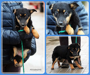 Be-Funky-collage-19.jpg&key=546442b9a9c4