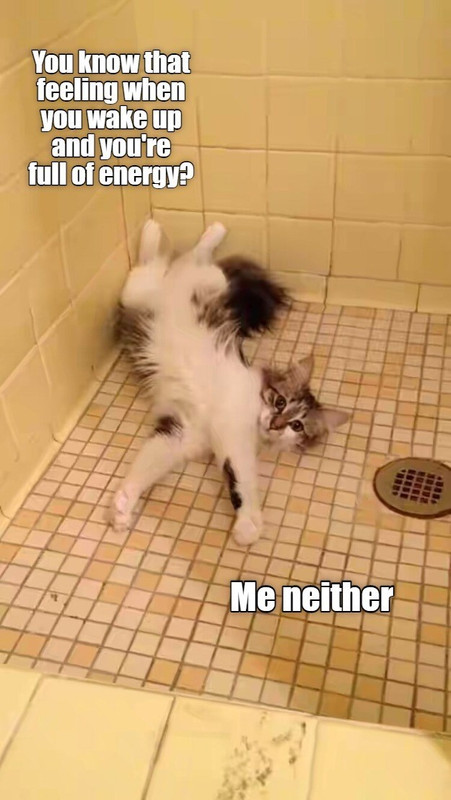 yeah-me-neither