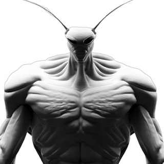 insect