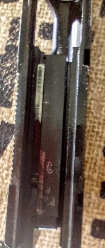 IMG_20220705_121855_023