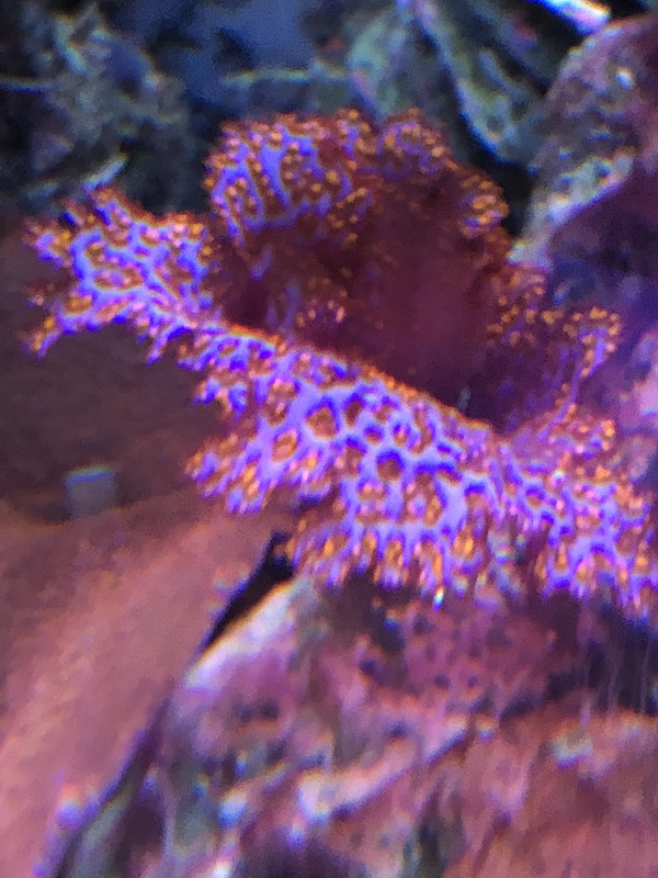 CDABF285-F977-48BD-942E-83278771F98F