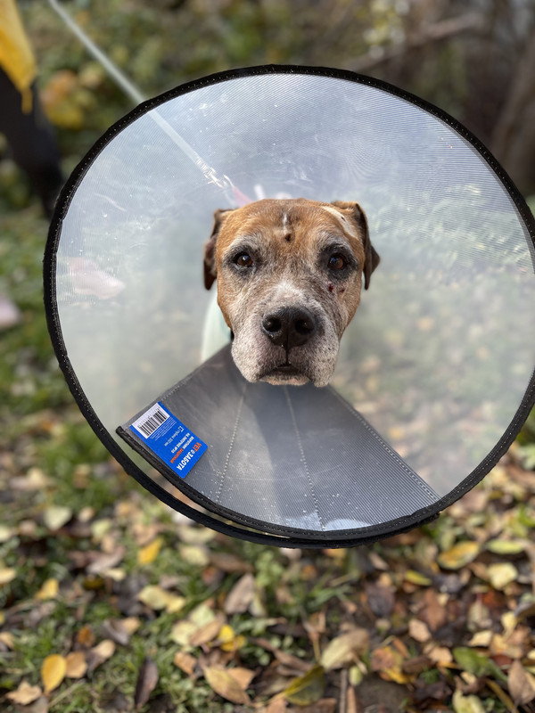 A271E07A-DE70-454F-940C-6F46891455D0