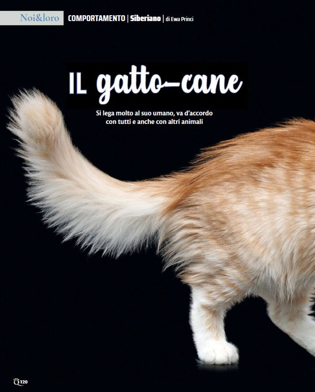 QuattroZampe Dic 2023-Gen 2024 (9)