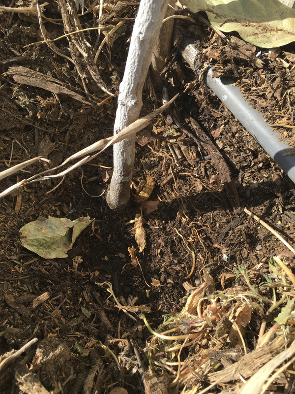 5DC38617-F9CD-4F48-9BB9-65A934F93E6C