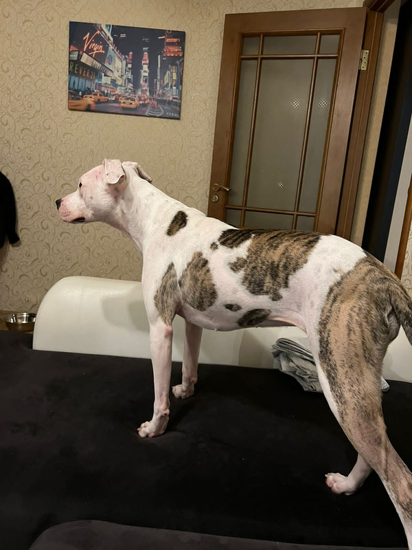 96AFD4BA-053E-4375-B65A-649CAC2B292C