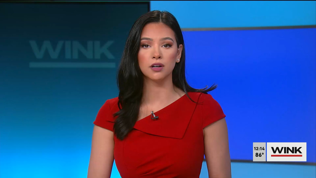 The WINK Noon News 2022_03_10_17_00_00.ts_snapshot_11.23.810