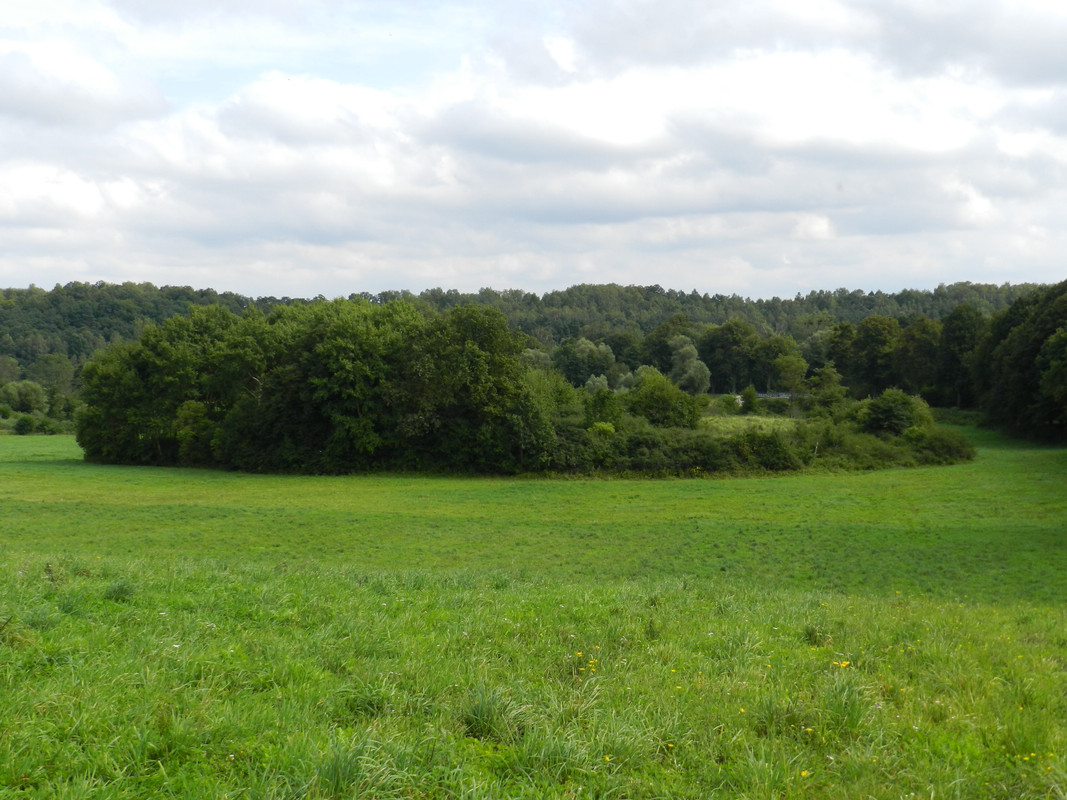 06 - Ornitolog (Aldona)