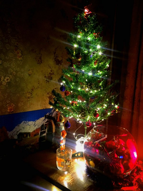 изображение_viber_2023-01-03_21-47-49-401