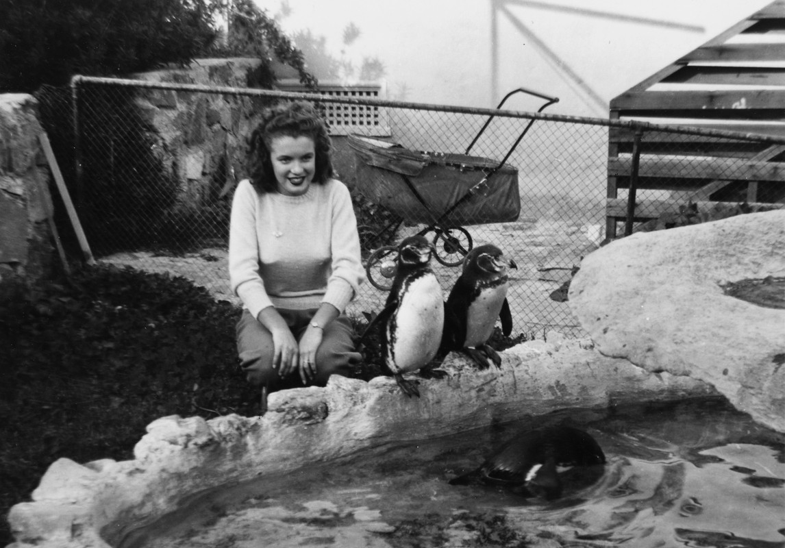 Marilyn_Monroe_a645