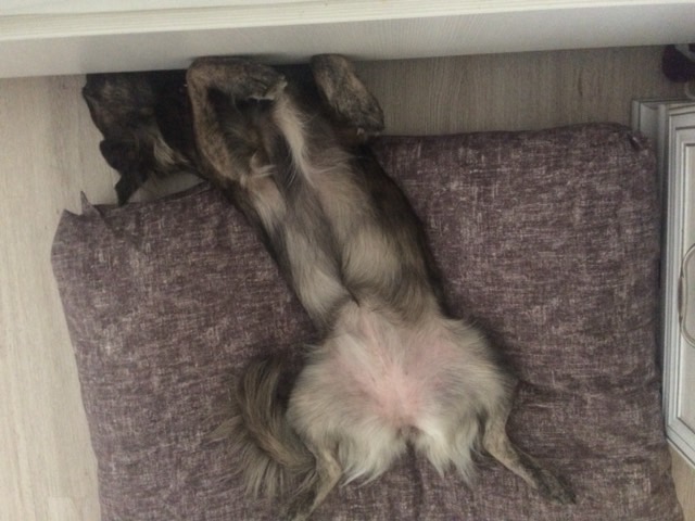 1D53DF8D-8192-42E0-8ADF-C042F4BEF809