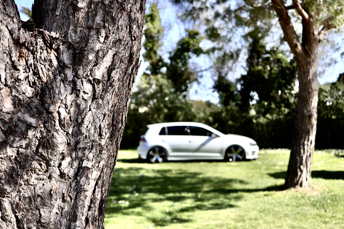 CAF3A3A8-F041-4053-B961-FFA34B44D897