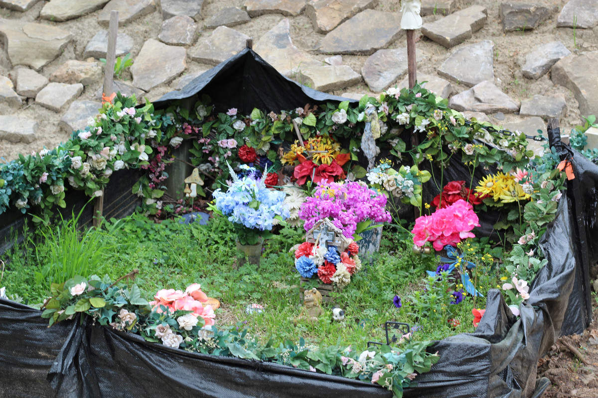 IMG 0012 — Postimages