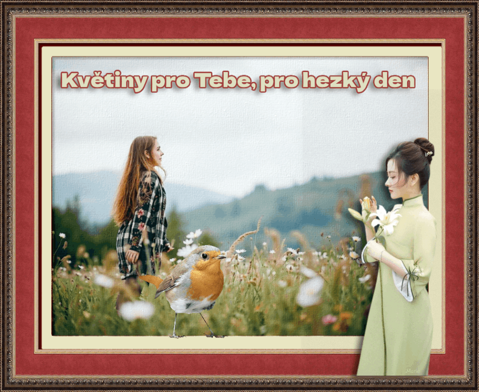 kv-tiny.gif