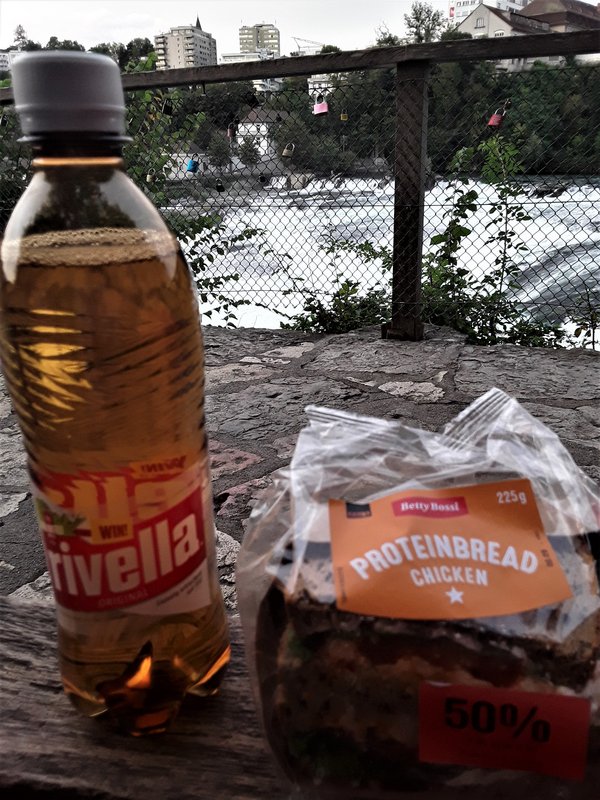 CATARATAS DEL RHIN-5-9-2019 - Suiza y sus pueblos-2019 (20)