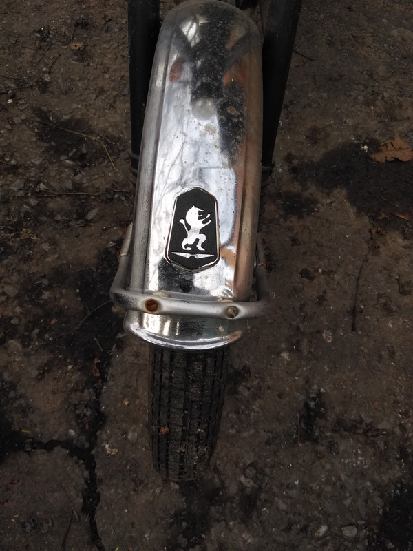 ШильдаКрыло