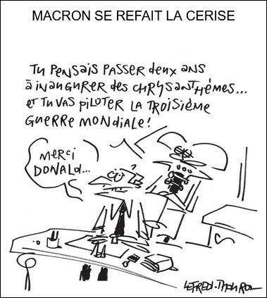 text alternatif