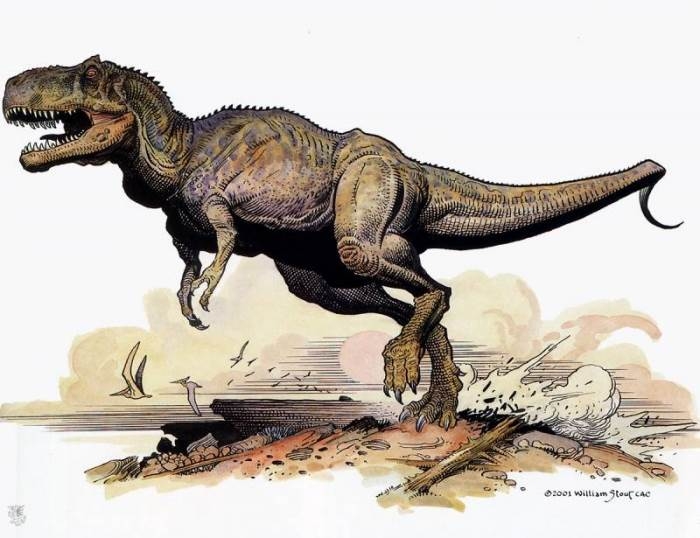 1525338440_1413778141_stout-william-tyrannosaurus-rex-ma-sp9-artfond
