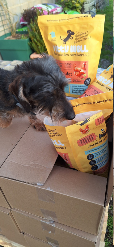 [Image: 20251212-154031.jpg]