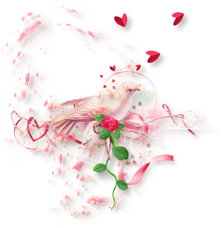 DoveCluster2