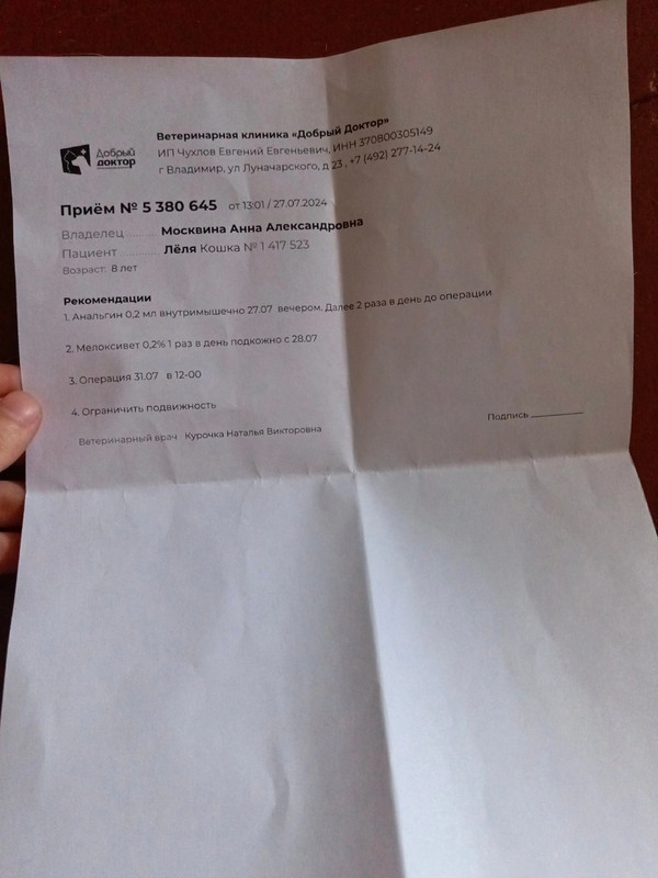 Кошка назначения ДД