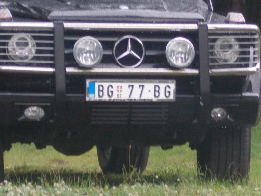 Copy of Copy of паралија 2014 768