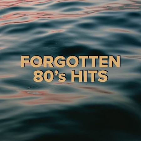 598d5a30 13df 4444 9a57 b63dc1f7f5b3 - VA - Forgotten 80's Hits (2021) FLAC