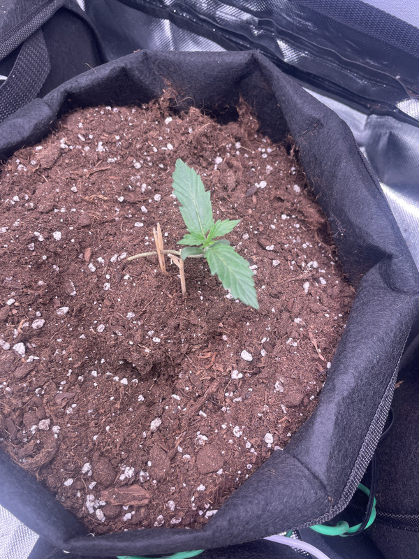 DAD55D1C-D24E-4EDF-A6EF-6E67D4568729