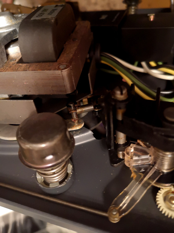 IMG 20260421 004450 edit 557520512596698