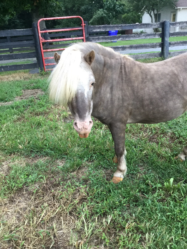 542CAD1C-E8FA-4D33-8C21-53E2E63C219D