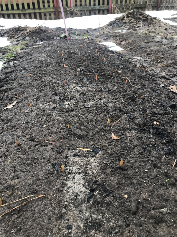 1F9E899C-8977-4EAB-9137-412AAE8BB09F