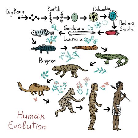 Evolution / Evolúcia / CZ