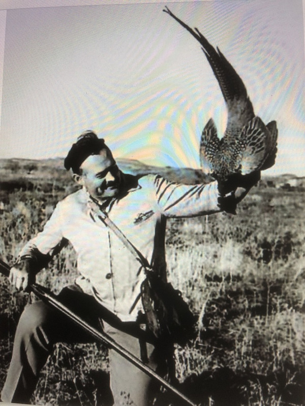 348B40ED-1E3B-43F8-A0E1-0D6CBB02264C_1_105_c