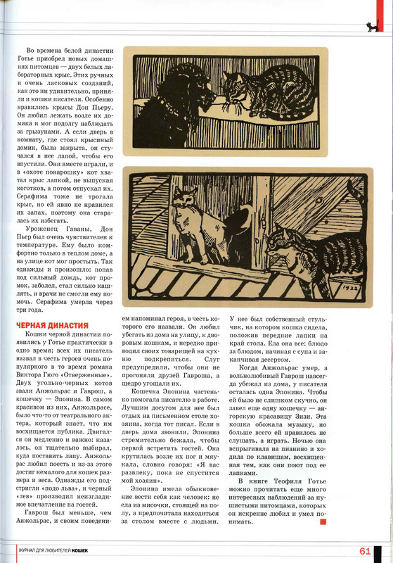 Друг кошек 2008-03-58