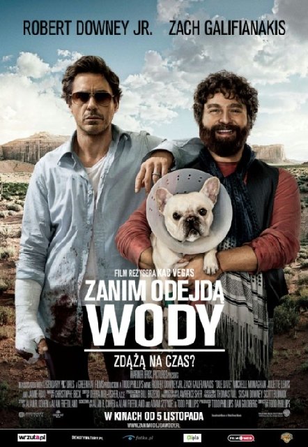 Zanim odejdą wody / Due Date (2010) PL.720p.BDRip.XviD.AC3-ELiTE ~ Lektor PL