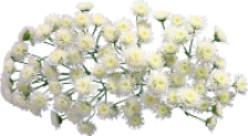 ky4bb