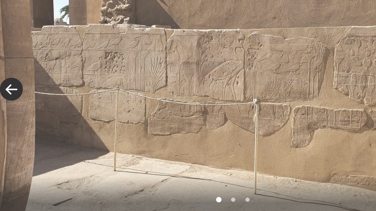 F155F4D3-EFFF-4060-B1DC-EF881CA940B0