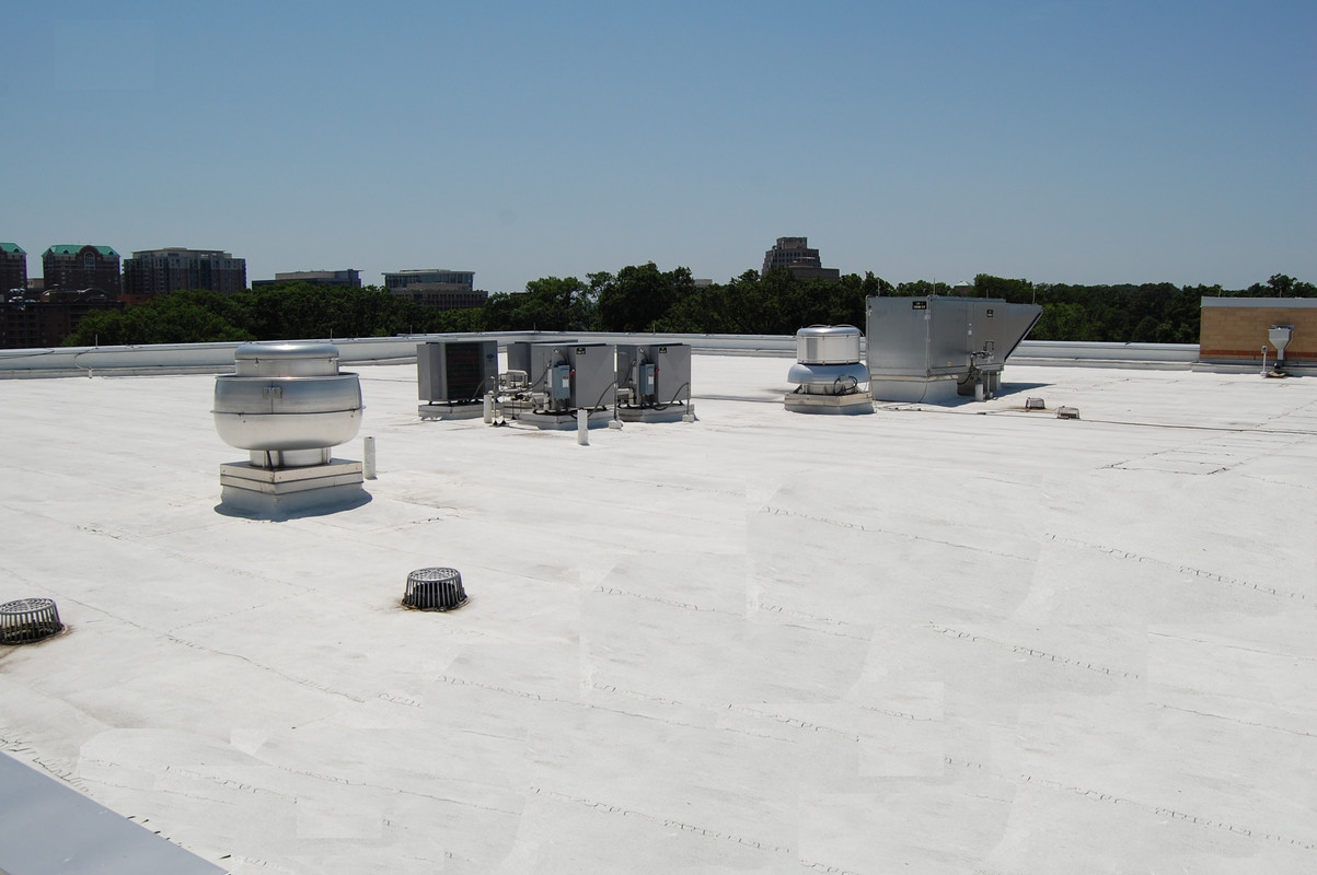 ayegh-sefid-bam (47)