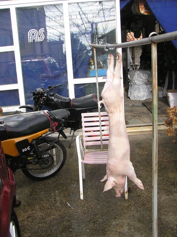 Picturevela luka 938