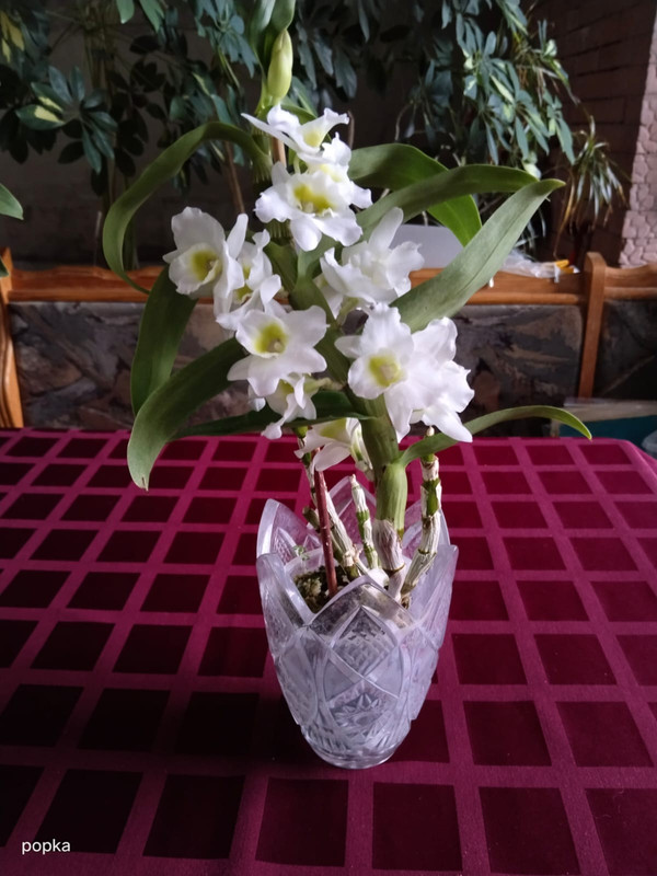 2931f9c0-3553-415f-9bb0-022b371a5284